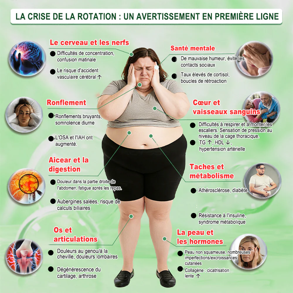 🇫🇷 Boutique Officielle France | 💐🔥 𝗖𝘂𝗿𝗮𝗹𝗼𝗻𝗮® Berbérine · Moringa × NAD+ Patch Nano Microneedle 10-en-1 Avancé  💪 Une application par jour — des résultats visibles dès 7 jours - Image 3